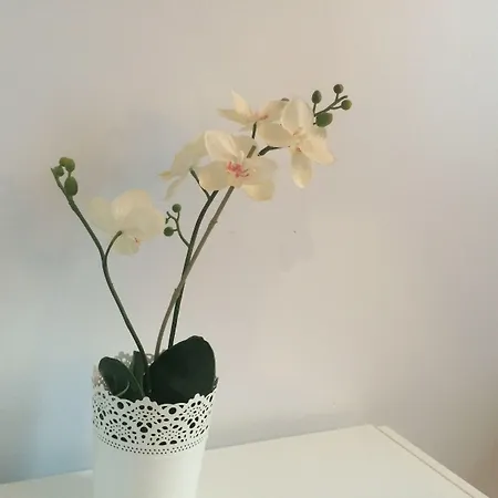 ホテル Andre Gill パリ